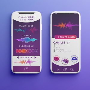 Définition du parcours de l’utilisateur, développement de l’UI de l’app prototype (éléments graphiques tels que les icônes, les couleurs, l’arrière-plan, les polices, les logos, les illustrations) sur FIGMA.